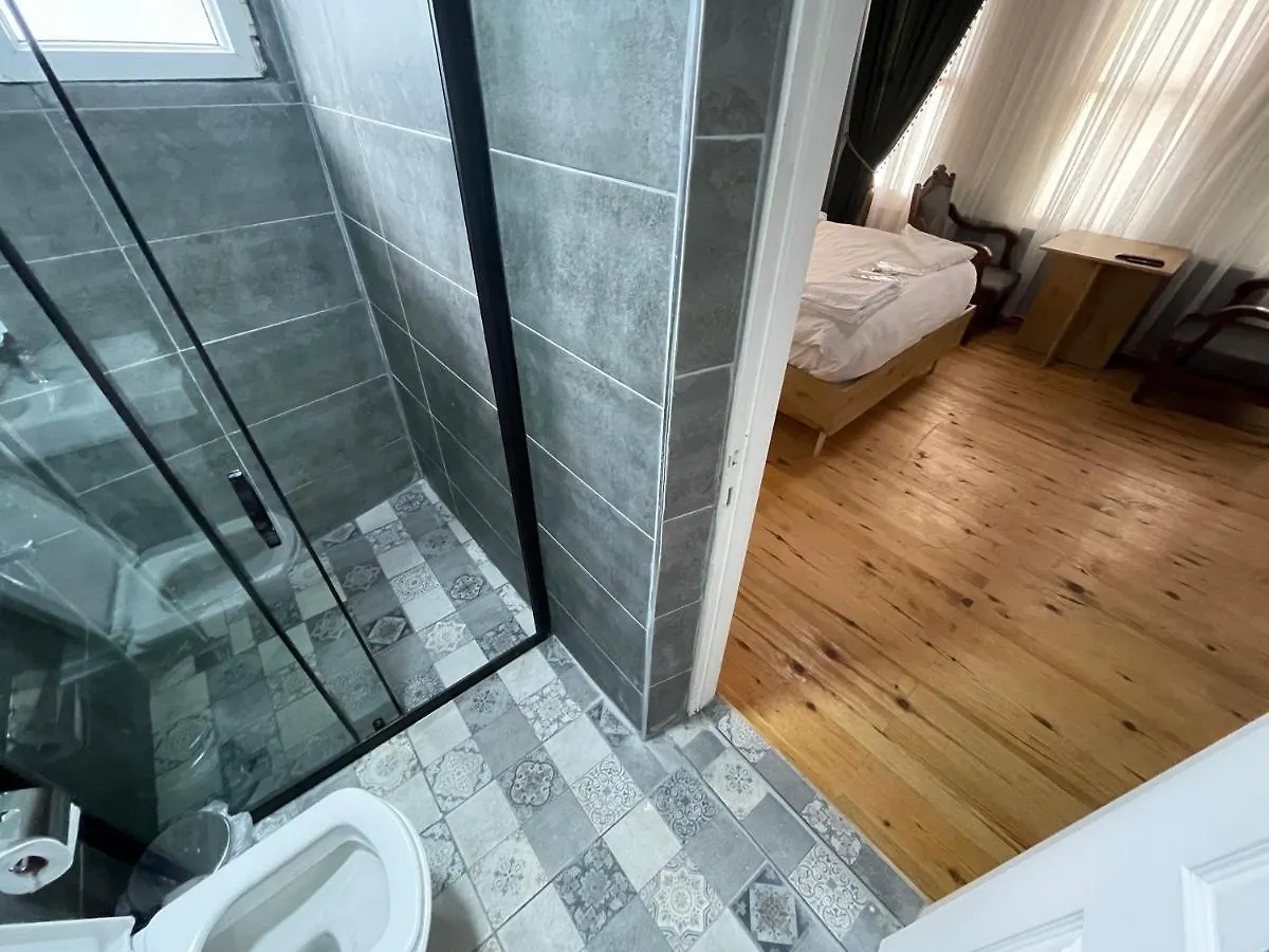 Отель Golden Metro Boutique Rooms Стамбул