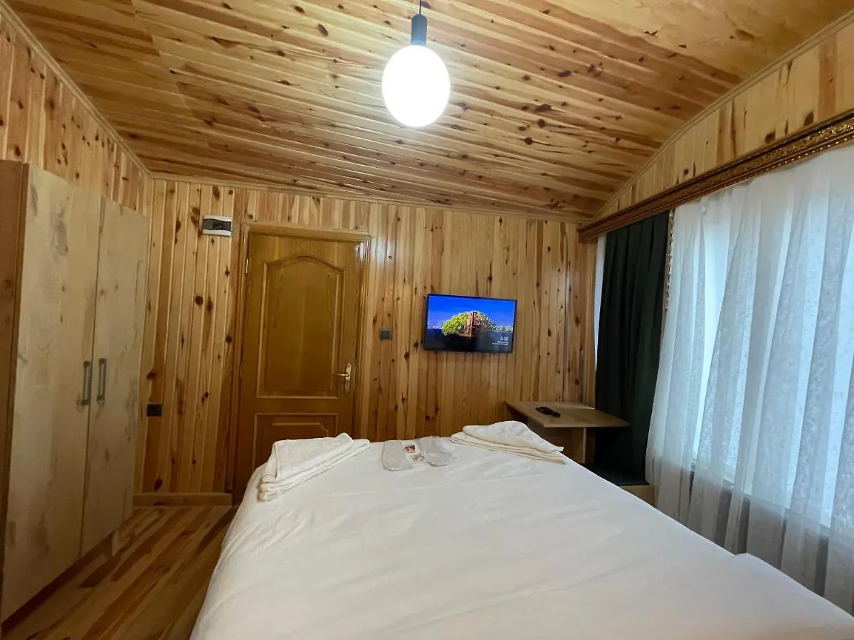 Golden Metro Boutique Rooms Стамбул 0*,